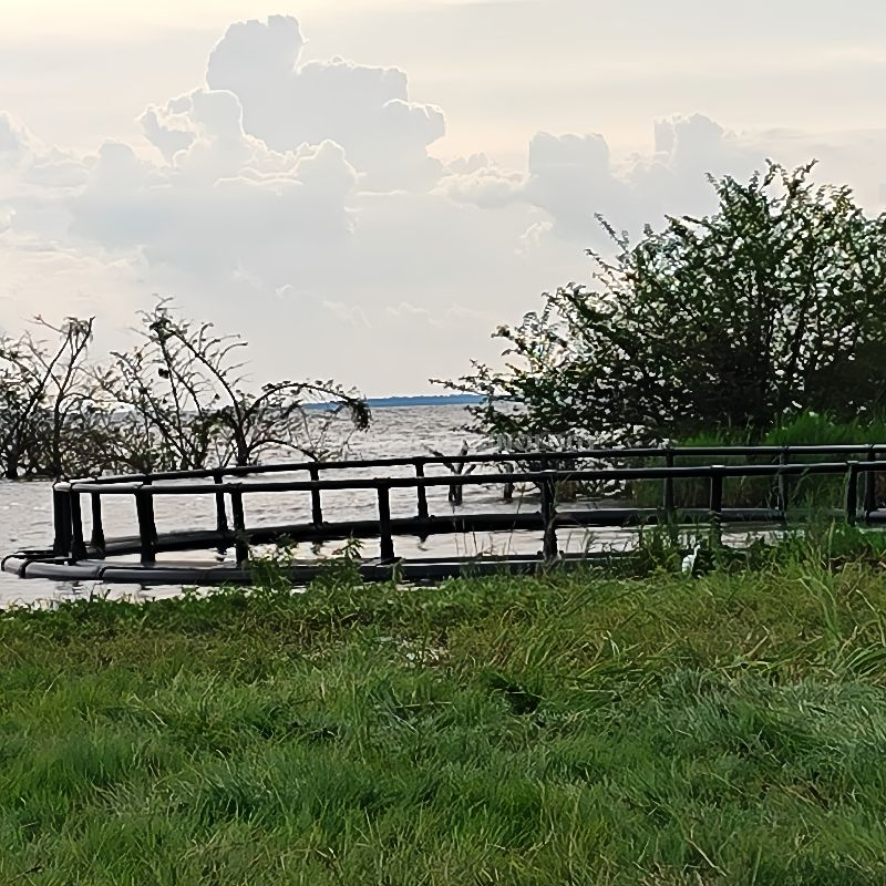 La pisciculture flottante d'aquaculture de poissons de HDPE cultive la cage agricole d'élevage avec le filet