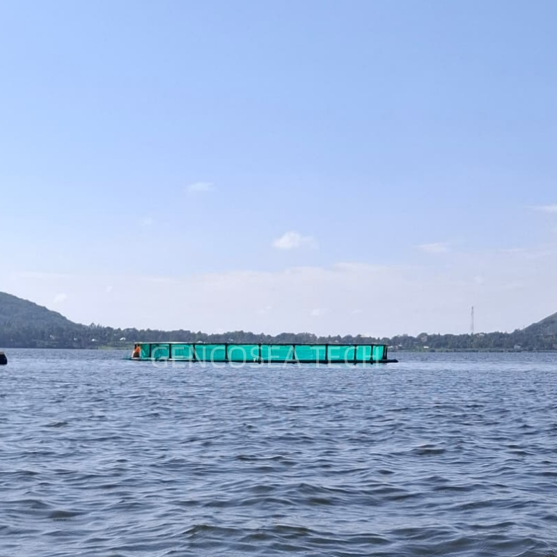 cage &agrave; poissons 17