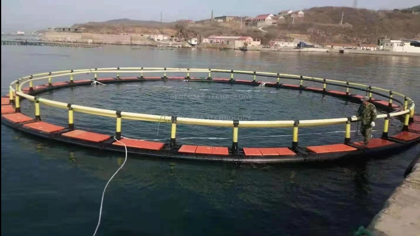 Cages d'aquaculture pour la pisciculture