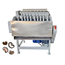 Machine de séparation de décorticage d'ouverture de coquille de noix de cajou