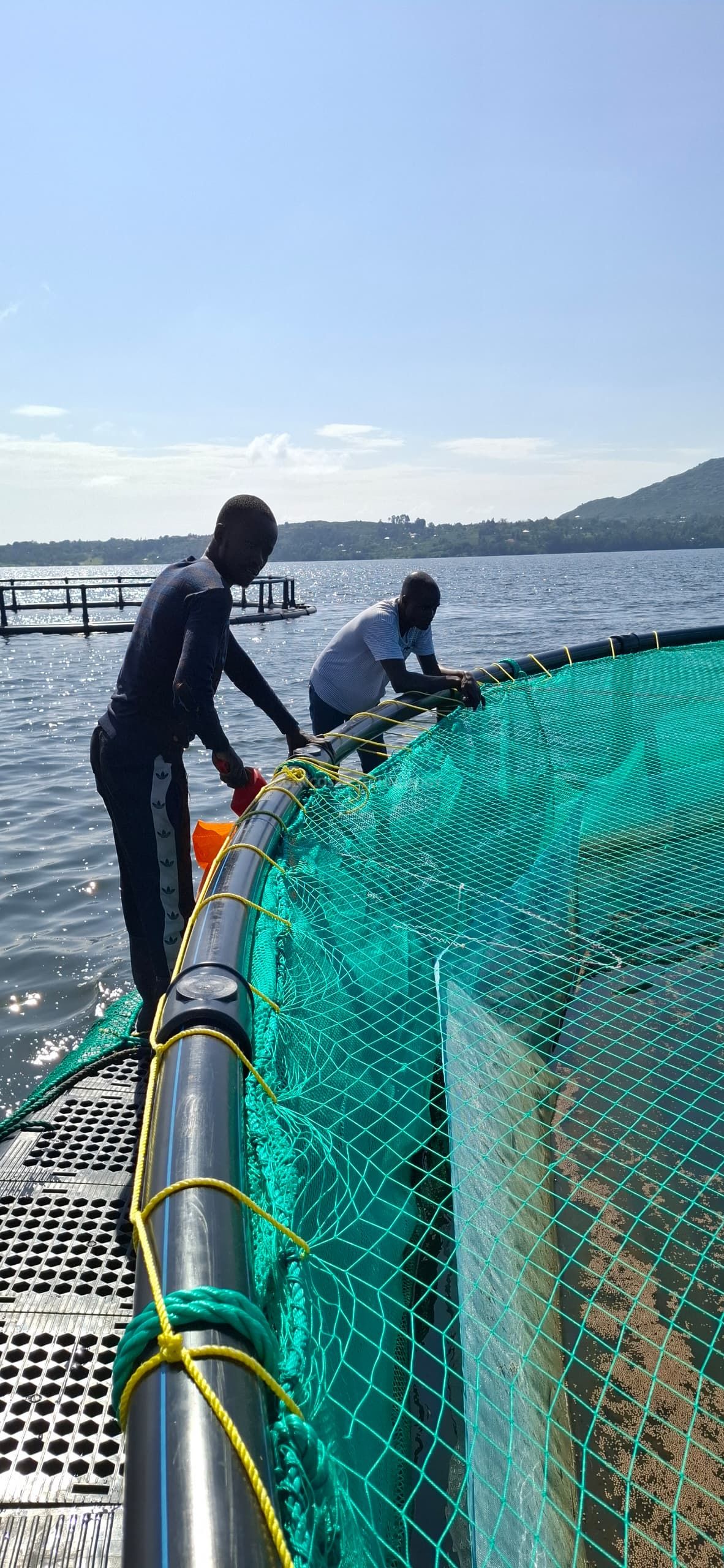 Image WhatsApp 2024-11-25 &agrave; 18.44.57