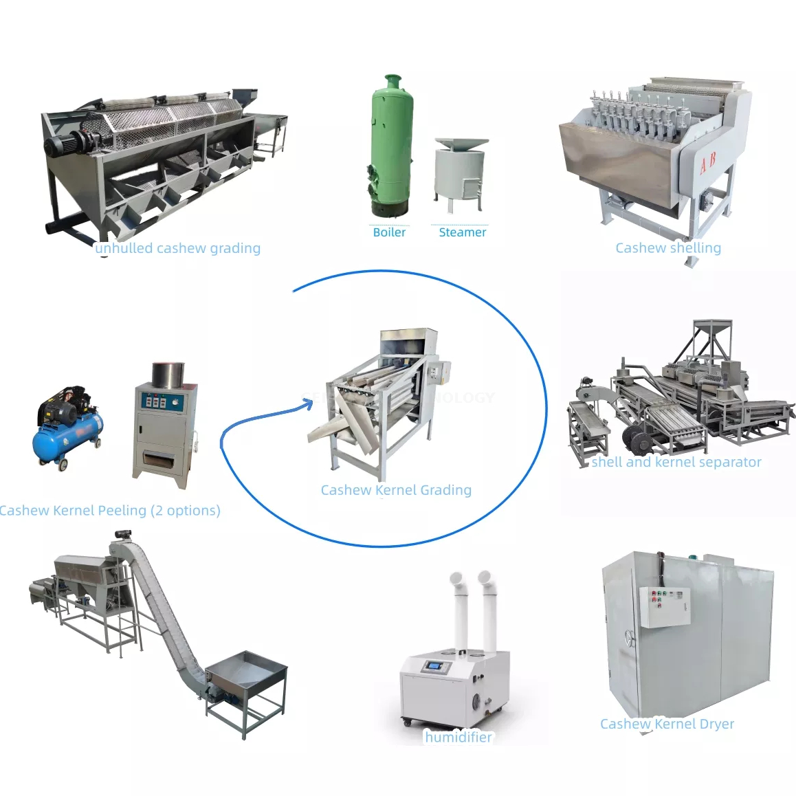 Ligne de transformation de noix de cajou entière 
