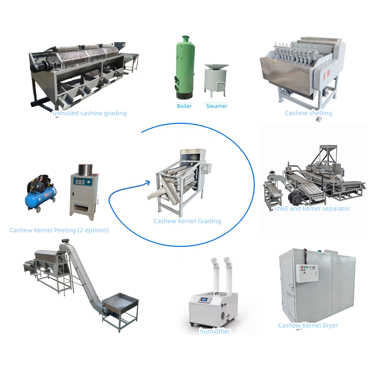Ligne de transformation de noix de cajou