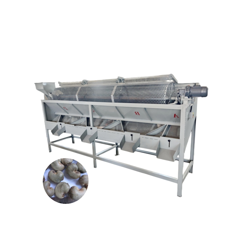 machine de classement de noix de cajou 9